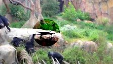 Скриншот видео