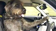 Скриншот видео