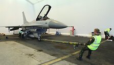 Столкнувшийся с птицей истребитель НАТО вернулся восвояси