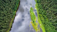 Nemuno vingis ties Druskininkų kaimu