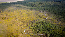 Kamanų mokomasis takas
