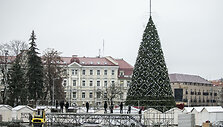 Sostinės Katedros aik&scaron;tėje statoma Kalėdų eglė