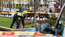 Vilniuje prie Vyriausybės mirė moteris