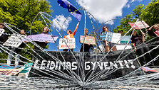 &bdquo;Sienos grupės&ldquo; savanorių piketas prie LR Vyriausybės