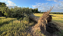 Viesulo padariniai &Scaron;iaulių rajone