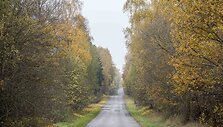 Auksinis ruduo Vilniuje