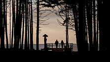 Olandų kepurė