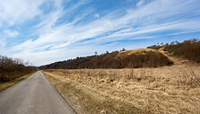 Netonių kalnas