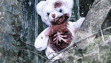 Pliu&scaron;inis me&scaron;kutis-zombis