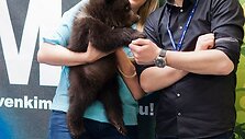 Skaiva Jasevičiūtė ir Gintas Vaičikauskas su me&scaron;kučiu