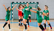 Lietuvos moterų rankinio lygos finalo rungtynės Kauno &bdquo;ACME-Žalgiris&ldquo; ir Vilniaus &bdquo;Eglė&ldquo;