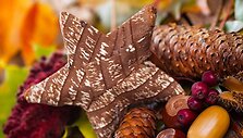 Rudens dekoracijos