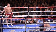 Canelo Alvarezas &ndash; Rocky Fieldingas