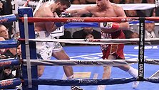 Canelo Alvarezas &ndash; Rocky Fieldingas