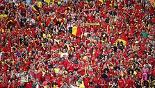 Belgijos sirgaliai