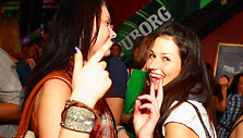 GREEN NIGHT 2011