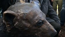 Berlyno zoologijso sode atidengtas paminklas lokiukui Knutui