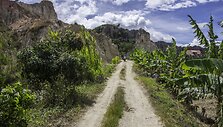 Anduose