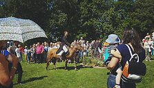Bumbulinės