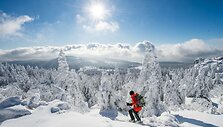Gamta aplink Rėgensburgą