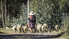 Kelionė Peru