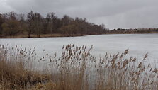 Buivydi&scaron;kės
