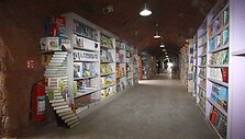 Turkijos &scaron;iukliavežiai atidarė i&scaron;mestų knygų biblioteką