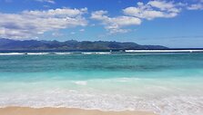 Gili saloje