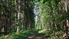 Vie&scaron;vilės rezervatas