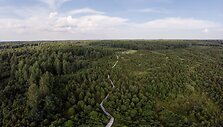 &Scaron;auklių riedulynas