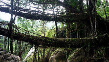 Double decker tiltas Meghalaya regione