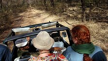 GIR liūtų safaris Indijoje