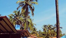 Goa 