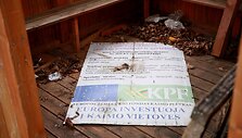 Kiemelių rekreacinis takas