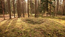 Grybi&scaron;kių ąžuolo pėsčiųjų mar&scaron;rutas