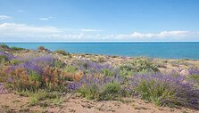 Isykul, Kirgizija