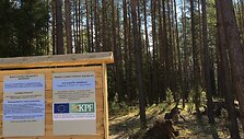 Pasaki&scaron;kių takas