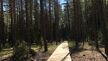 Pasaki&scaron;kių takas