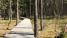 Saki&scaron;kių pažintinis takas