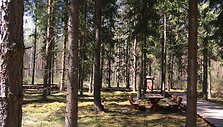Saki&scaron;kių pažintinis takas