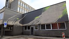 Gatvės menas &Scaron;iauliuose