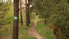 Žagarės ozo pažintinis takas