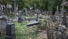 Ankstesnių audrų padariniai Bernardinų kapinėse