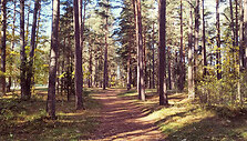 Ignalina