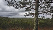Kur&scaron;ių nerijos nacionalinis parkas