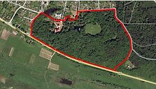 Parko planas i&scaron; dendrologinių tyrimų iliustruoja, kaip teritorija tarp pilies ir kelio buvo tankiai priaugusi medžių.