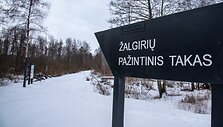 Žalgirių pažintinis takas