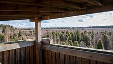 &Scaron;auklių riedulyno pažintinis takas