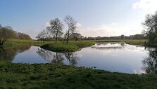 Pojūčių takas Krekenavos regioniniame parke