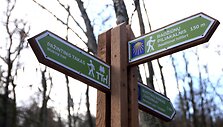 Vidzgirio mokomasis takas